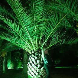 ���� �����, ������-��-����, 50 ��� - ��������� 10 ����� 2023