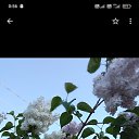 ���� ���������, �����-���������, 59 ��� - ��������� 1 ����� 2023 � ������ ���� ����������