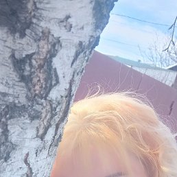 ���� �����, ������-��-����, 47 ��� - ��������� 17 ������ 2023