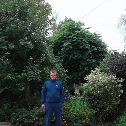 ������, �����������, 46 ���