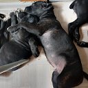 ���� ������, �����-���������, 52 ���� - ��������� 17 ���� 2023 � ������ ������ ��������