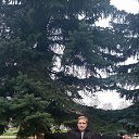 ���� ������, ������, 45 ��� - ��������� 8 ������� 2023 � ������ ���� ����������