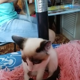 ���� �����, �����������, 39 ��� - ��������� 9 ����� 2023