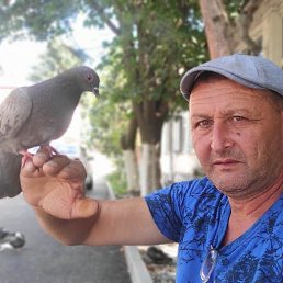 ���� ������, ���������, 55 ��� - ��������� 3 �������� 2023