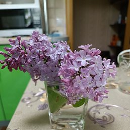 ������, �������, 39 ���