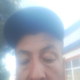 ��������, �������, 38 ���