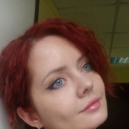 �����, ������, 41 ���