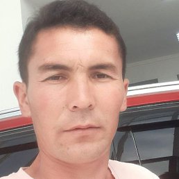 Akbar, �����, 33 ����