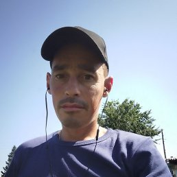 ���������, ��������, 40 ���