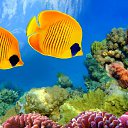 ���� ��������, ������, 72 ���� - ��������� 26 ����� 2023