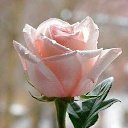 ���� �� �����, �������� - ��������� 3 ������� 2023