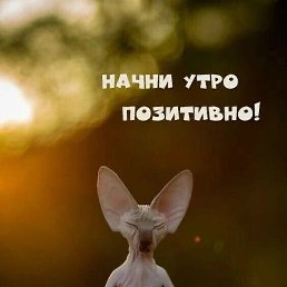 ���������, ���������, 44 ����