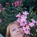  , -, 54  -  12  2023