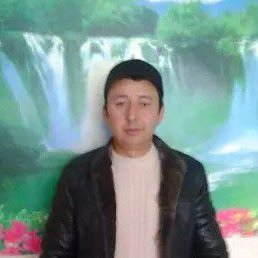 ����, �������, 43 ����