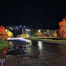 ��������, ��������, 40 ���