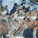 ���� ����, ������, 41 ��� - ��������� 1 ������� 2023