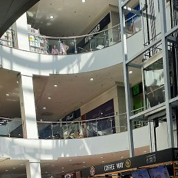 ������, ������, 43 ����