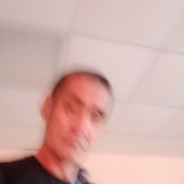 ����, ������, 51 ���