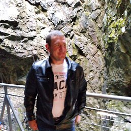 ������, ���������, 41 ���