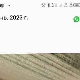 ������, ������, 54 ����