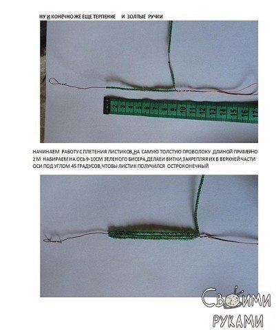 ����� �������� �� ������. ������-�����.