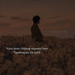 ��������, �����, 42 ����