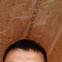 ����, ������, 40 ���