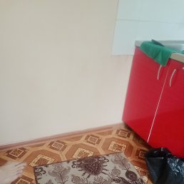 ���� �������, ����, 45 ��� - ��������� 19 ���� 2023