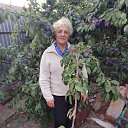 ���� ����, ��������, 71 ��� - ��������� 26 ���� 2023 � ������ ���� ����������