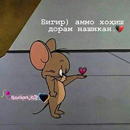 ����, ������, 22 ����