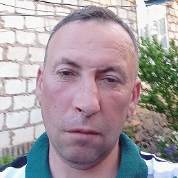 Nicolai, �������, 50 ���