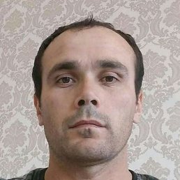 �����, ������, 37 ���