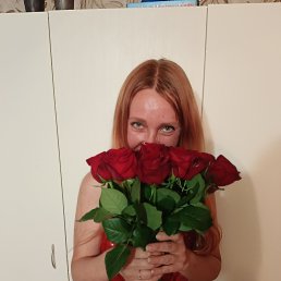 ���� ��������, �����, 41 ��� - ��������� 3 ���� 2023