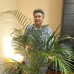 ���� ��������, ��������, 72 ���� - ��������� 15 ����� 2023