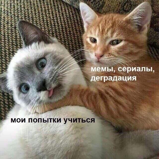    - 18  2023  11:40