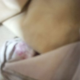 ����, ������, 20 ���