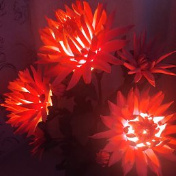 ������, ��������, 60 ���