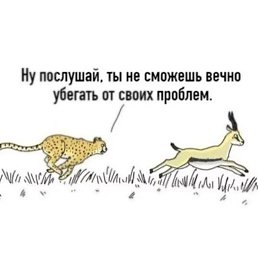 ���������, ����������