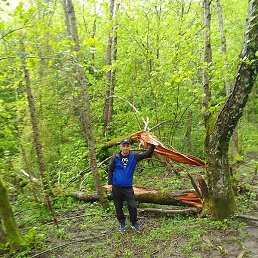 ������, ����������, 55 ���