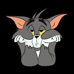 ���� Ali, �����, 23 ���� - ��������� 24 ��� 2023