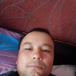 , 40, 