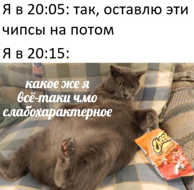    - 22  2023  21:38