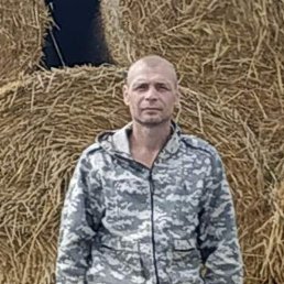 ������, ������, 43 ����