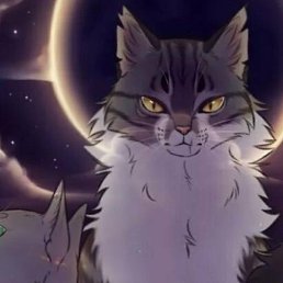 ����, �����, 21 ���