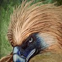 ���� �������, �����-��������� - ��������� 27 ������ 2023 � ������ ������ ��������