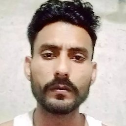 Wajid, �����������, 29 ���