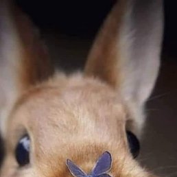 ���� �����, ���������� - ��������� 14 ������ 2023