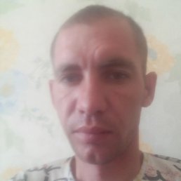 ���������, ����, 37 ���