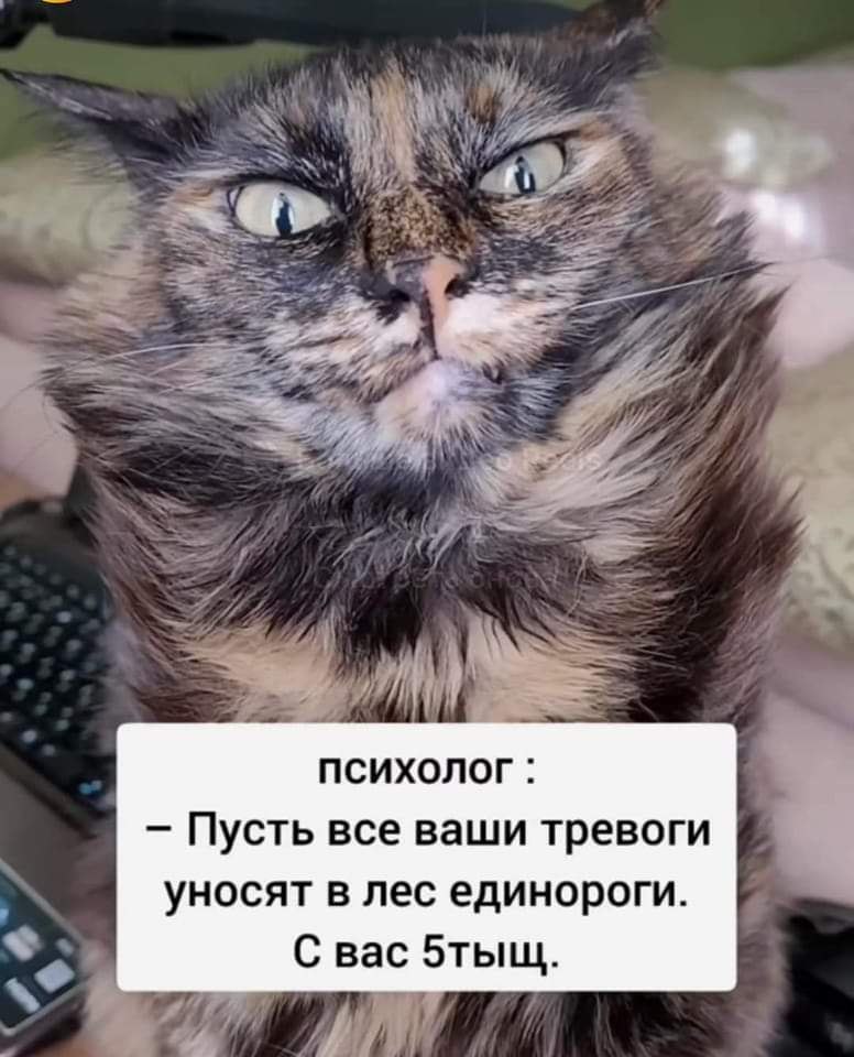  - 13  2023  17:38