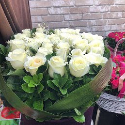 ��������, �����, 59 ���